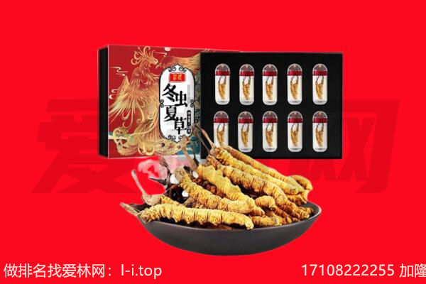 武汉汉南区回收虫草.jpg